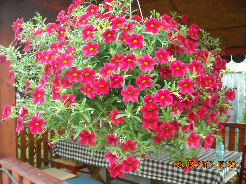 טורדה Casa Judith מראה חיצוני תמונה