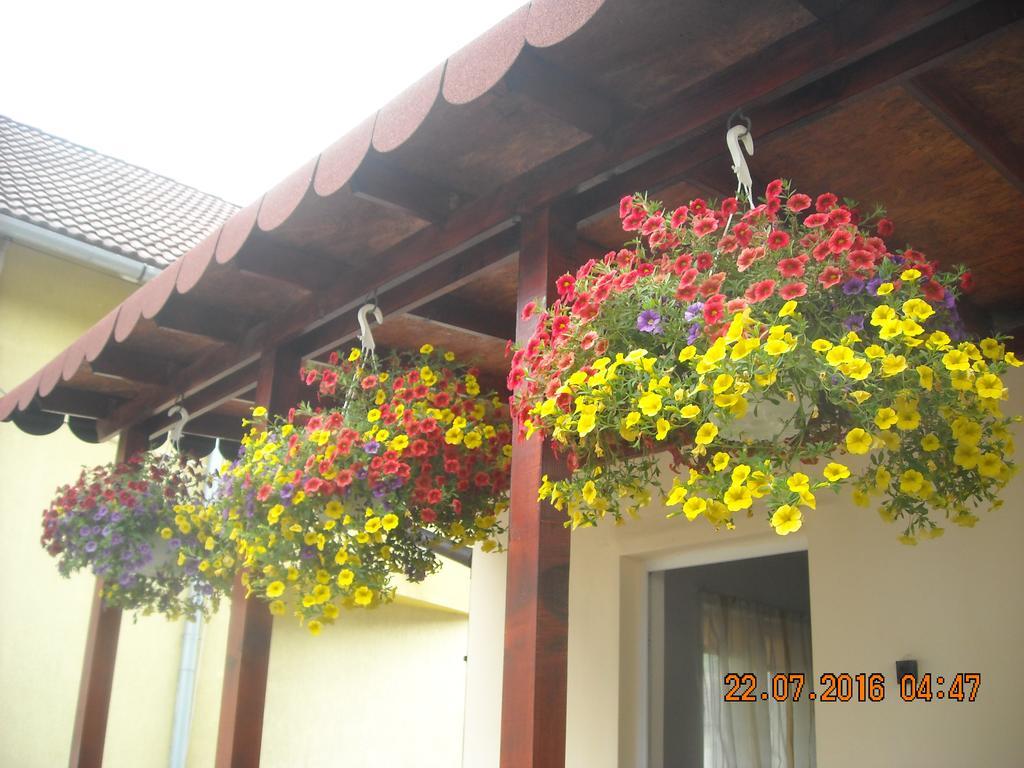 טורדה Casa Judith מראה חיצוני תמונה